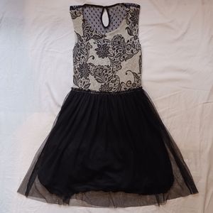 Anthropologie Weston Wear Sparrow Tulle Sleeveless Dress Sz. Small